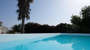 a swimming pool with a palm tree and blue water at Monte Sol in São Cristóvão