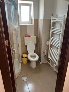 a small bathroom with a toilet and a window at Studio 1 & Studio 2 Aqua in Eforie Nord