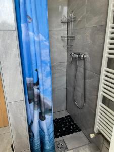 a shower with a blue shower curtain in a bathroom at Studio Apartmani Patricia in Smoljanac +69 photos
