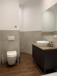 バート・ヴィルドゥンゲンにあるVilla Alexandra 1897 Wohnung Vilmaの洗面台、トイレ、鏡のあるバスルーム