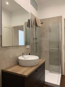 バート・ヴィルドゥンゲンにあるVilla Alexandra 1897 Wohnung Vilmaの白い洗面台とシャワー付きのバスルーム