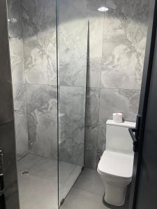 a bathroom with a toilet and a glass shower at Cottages Ureki in Ureki +95 photos