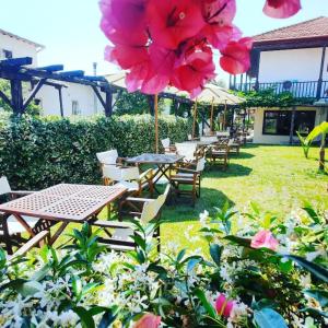 Zahrada ubytování Galini Hotel Agios Ioannis Pelion