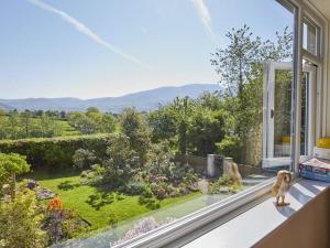 a dog sitting on a window sill looking out at a garden at 2 Bed in Bassenthwaite SZ381 in Bassenthwaite Lake