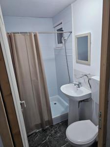 a bathroom with a sink and a toilet and a shower at Casute tip A costinesti in Costinesti