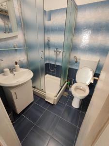 a bathroom with a toilet and a sink and a shower at Apartment Gligora in Mandre +32 photos