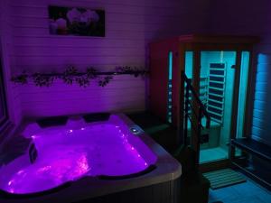 Fotografie z fotogalerie ubytování Charmant T3 jacuzzi v destinaci Clairvaux-les-Lacs