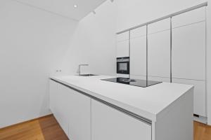 Kuchyň nebo kuchyňský kout v ubytování Bodensee Loft in Strandnähe