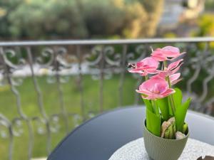 Balkón nebo terasa v ubytování Markovi Apartments