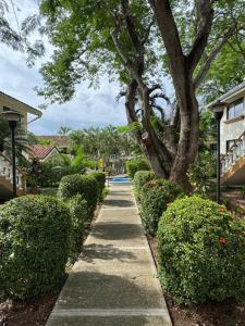 a sidewalk in a park with trees and bushes at Casa Suerte in Coco
