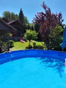 a large blue swimming pool in a yard at DOMEK Łapalice Kaszuby in Łapalice