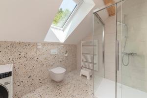 ein Badezimmer mit Toilette und Dusche und einem Fenster in der Unterkunft Brlog 2 in Zgornje Gorje + 18 Fotos