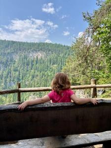 Táj az apartman közelében