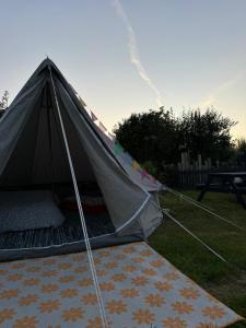 セント・アイヴスにあるEmilies Bell Tentの芝生に敷かれた敷物のあるテント