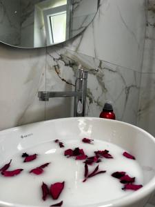 Imagen de la galería de Apartman Rawda 2, en Jajce