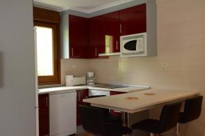 Kuchyň nebo kuchyňský kout v ubytování Apartamentos el Rincon de Limes + 32 fotografií