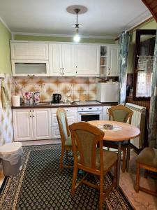 Kuhinja oz. manjša kuhinja v nastanitvi Apartman 23