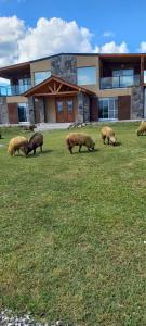 Gallery image of Las Calandrias in La Cumbrecita