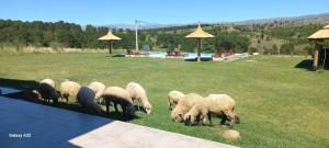 Gallery image of Las Calandrias in La Cumbrecita +49 photos