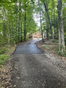 リッチモンドにあるSerenity in the Suburbs: Your Gorgeous RVA Getawayの森の家に通じる道