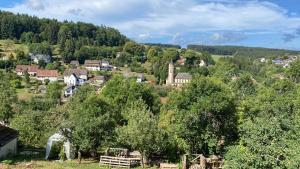 eine kleine Stadt in einem Tal mit Bäumen in der Unterkunft 1Zi Ferienwohnung bis zu 3 Personen für Dienstreisende in Loßburg Schwarzwald in Loßburg + 8 Fotos