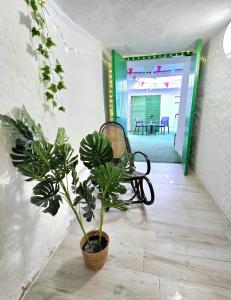Imagen de la galería de Casa Cueva Puerta Verde, en Paterna