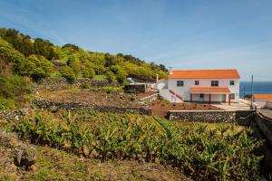 een huis op een heuvel naast de oceaan bij Casa da Vigia in Calheta de Nesquim