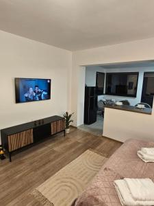 a living room with a television on a wall at Terrace Green Hill House in Braşov