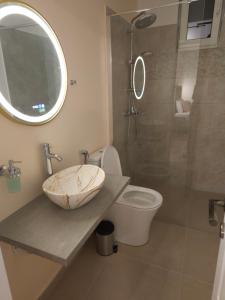 a bathroom with a sink and a toilet and a shower at Terrace Green Hill House in Braşov +30 photos