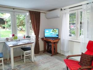 萨拉热窝Ludwigs Apartment Sarajevo的客厅配有书桌、电脑和窗户