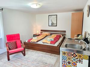 萨拉热窝Ludwigs Apartment Sarajevo的一间带床和水槽的小卧室