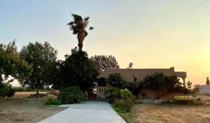 una palmera sentada en la parte superior de una casa en Kamara Apartments Marmari, en Marmari