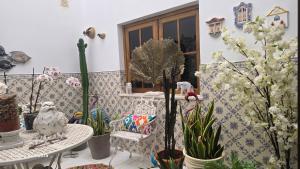 Zahrada ubytování Quarto en-suite Casa Cristina