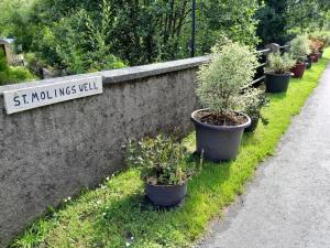 Aed väljaspool majutusasutust St Mullins Camping