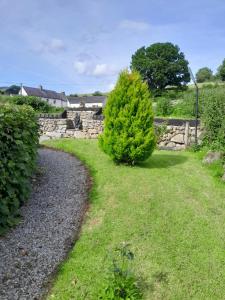 un giardino con un muro di pietra e due cespugli di St Mullins Camping a Saint Mullins