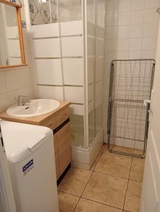 a bathroom with a sink and a shower at Cerbere Terrimbo 2 in Cerbère