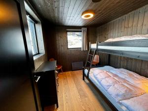 a bedroom with a bunk bed and a ladder at Modern Apartment Overlooking Gudbrandsdalen in Øyer