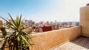 une plante sur un mur avec vue sur une ville dans l'établissement terrasse privée vue mer, à Oran 6 autres photos