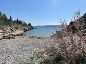 Galeriebild der Unterkunft Beachfront House Robert with Pool in Cesarica