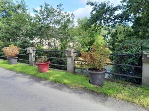 Aed väljaspool majutusasutust St Mullins Camping