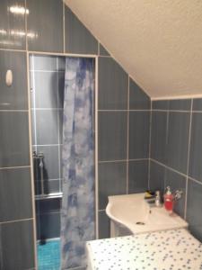 Ένα μπάνιο στο Guest House Kavedžić +34 φωτογραφίες