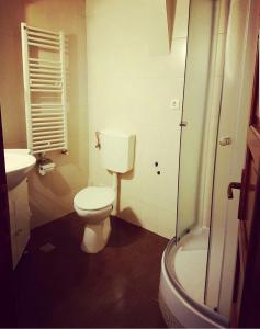 a bathroom with a toilet and a sink and a shower at Apartament Central Muma in Sibiu