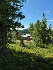Gallery image of Architect-Designed Cabin At Hallandsfjellet in Rødberg +15 photos
