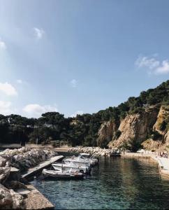 a group of boats are docked at a beach at Évasion en bord de mer - T2 au coeur des calanques in Ensuès-la-Redonne
