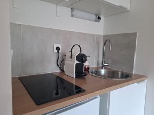 a kitchen with a sink and a mixer on a counter at Charmant studio in Russan