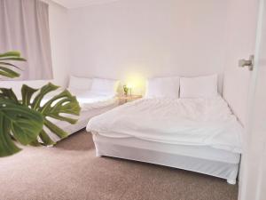 two beds in a white room with a plant at Golden Stay in Chuncheon