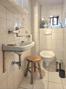 a bathroom with a sink and a toilet and a stool at Ferienhaus Bärbel Großes Ferienhaus nahe Quedlinburg in Ditfurt