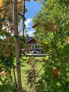 a house seen through the leaves of trees at Cozy Red Cottage By Kalø Vig With Seaview in Hornslet +2 photos