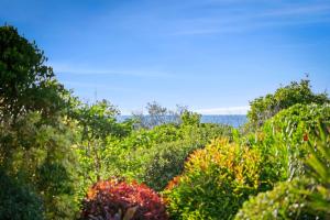 Gallery image of 10-60 Peregian Esplanade Peregian Beach in Peregian Beach