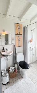a bathroom with a toilet and a sink at Family Idyll Near Kattegat In Tisvilde in Tisvildeleje